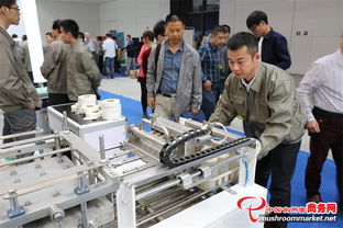 全國(guó)第十一屆菌博會(huì) 商務(wù)信息咨詢(xún)助力產(chǎn)業(yè)升級(jí)與貿(mào)易拓展